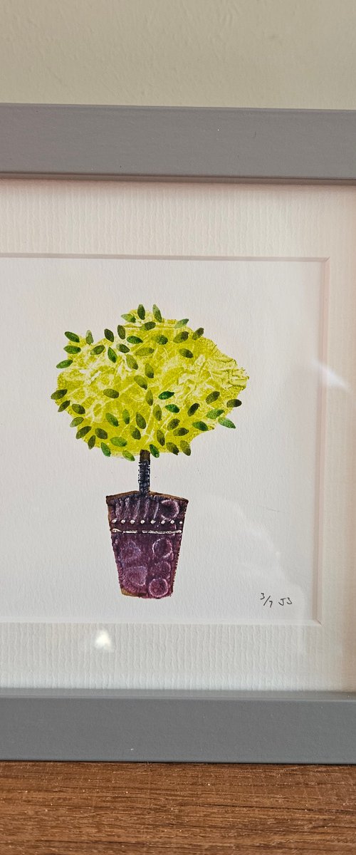 Little Tree by Jay Seabrook