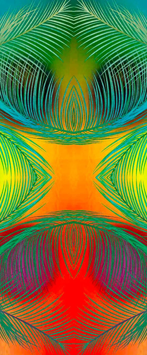 Peacock palm by Sumit Mehndiratta