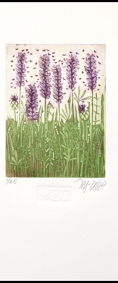 Lavender by Mariann Johansen-Ellis