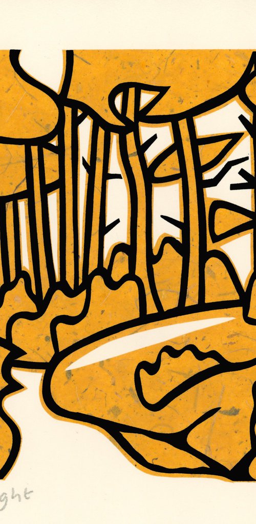 walk into light by Peter Long