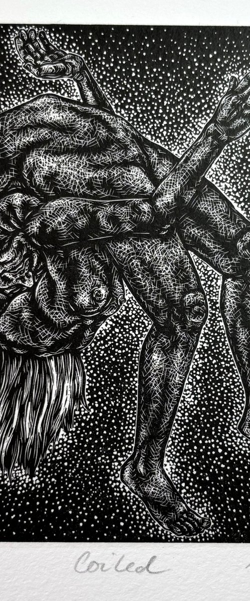 Coiled by Valerie Syposz