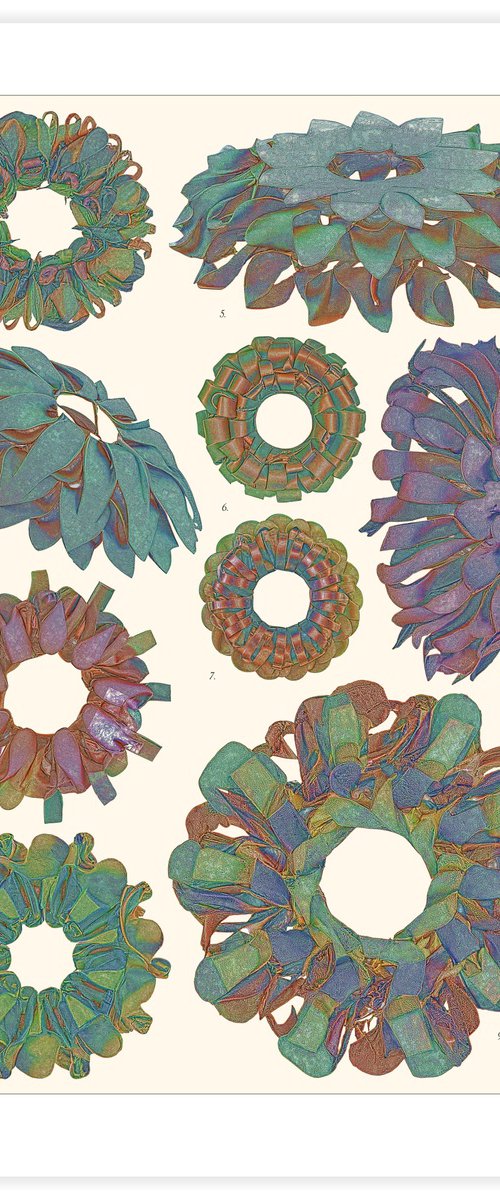 Monstera Ficta by Vanda Berecz