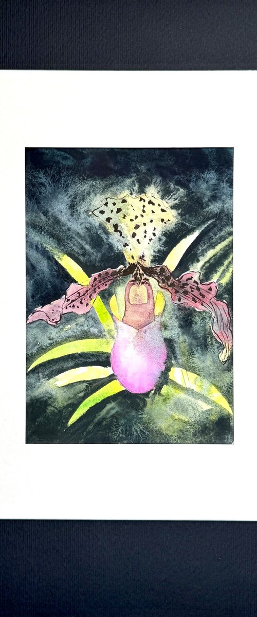 Wild orchid flower Orchidea by Yuliia Sharapova